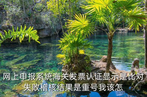 網上申報系統(tǒng)海關發(fā)票認證顯示是比對失敗稽核結果是重號我該怎
