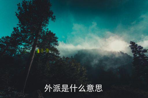 稅局外派是什么意思，外派是什么意思
