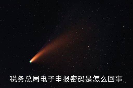 電子稅務(wù)默認(rèn)登錄密碼是什么意思，稅務(wù)局網(wǎng)站的登入賬戶(hù)初始密碼是什么