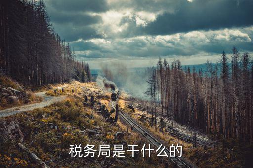 在稅務(wù)局都干什么啊，稅務(wù)局是干什么的