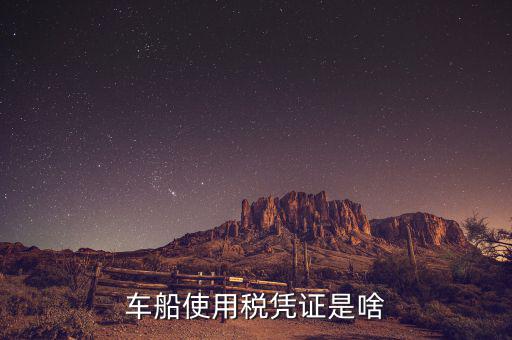 車船稅繳納憑證是什么意思，車船使用稅憑證是啥