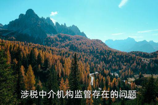 社會(huì)組織涉稅方面有什么問(wèn)題，涉稅中介機(jī)構(gòu)監(jiān)管存在的問(wèn)題