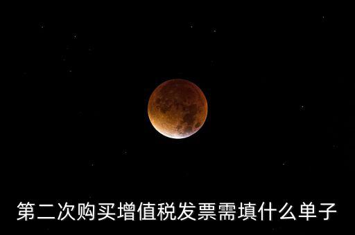 第二次購(gòu)買(mǎi)增值稅發(fā)票需填什么單子
