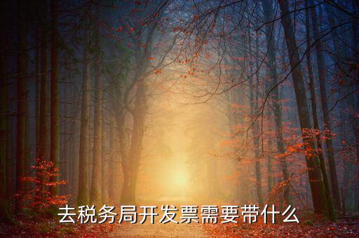 開票需要會(huì)什么手續(xù)，開發(fā)票的具體流程