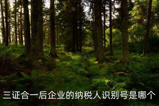 三證合一的納稅人識別號是什么，三證合一后企業(yè)的納稅人識別號是哪個