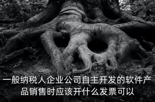 賣軟件交什么稅，一般納稅人企業(yè)公司自主開發(fā)的軟件產(chǎn)品銷售時(shí)應(yīng)該開什么發(fā)票可以