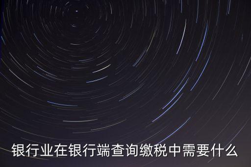 銀行端查詢繳稅要帶些什么，銀行業(yè)在銀行端查詢繳稅中需要什么