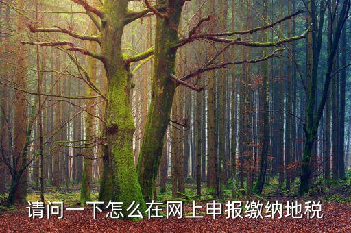 地稅個稅網(wǎng)址是什么，如何查詢個人所得稅明細(xì)