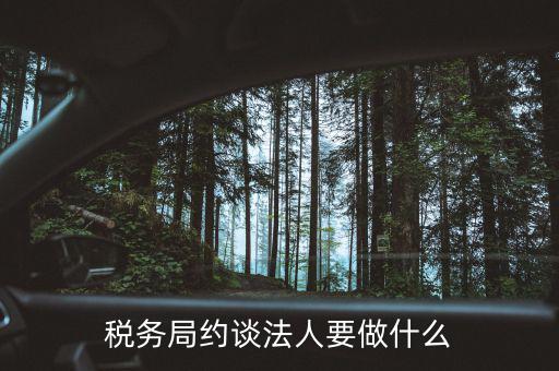 稅務(wù)異常約談法定代表干什么，稅務(wù)局約談法人要做什么