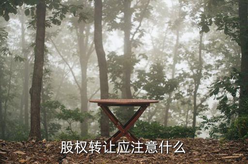 股權轉(zhuǎn)讓應注意什么