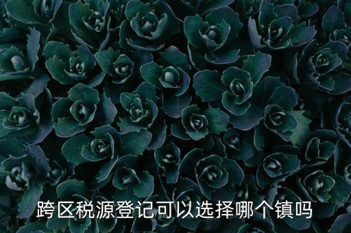 跨區(qū)稅源登記是什么，跨區(qū)稅源登記能否登記為一般納稅人