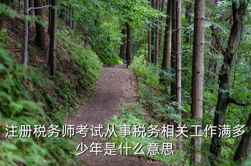 稅務(wù)從業(yè)人數(shù)是什么意思，請問稅務(wù)自查表中的查 數(shù)是什么意思急