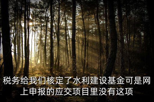 為什么水利建設(shè)無法申報(bào)，地稅電子稅務(wù)局的水利基金下滑找不到申報(bào)怎么辦