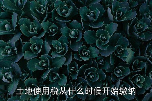 土地使用稅什么時(shí)候開(kāi)始交，什么時(shí)候開(kāi)始繳納房產(chǎn)稅和土地使用稅是否都要繳納