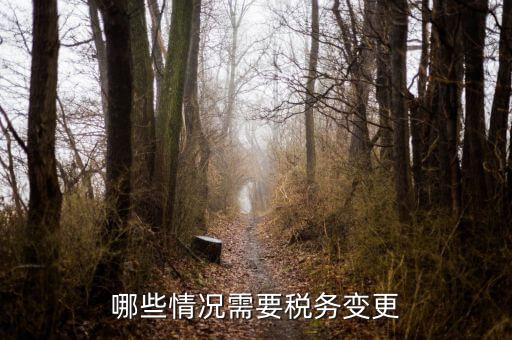 什么情況須變更稅務(wù)，納稅人應(yīng)當(dāng)辦理變更稅務(wù)登記的情形有