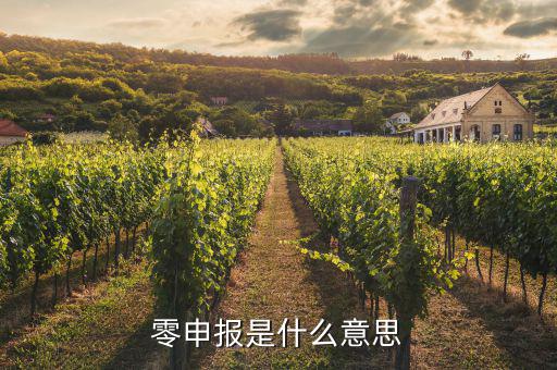 免于零申報(bào)什么意思，免于零申報(bào)是什么意思