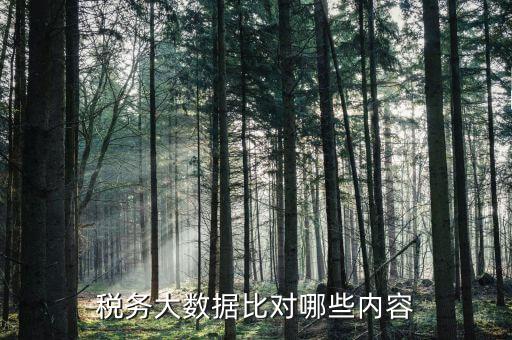大數(shù)據(jù)稅務(wù)局需要過(guò)濾什么數(shù)據(jù)，稅務(wù)大數(shù)據(jù)是什么意思