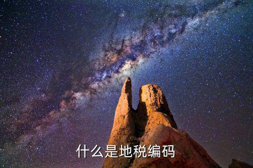 地稅編碼是什么意思，什么是地稅編碼