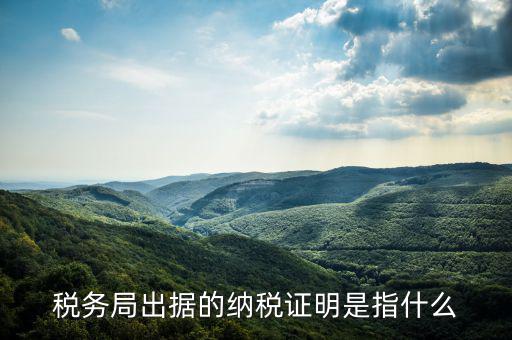 稅繳納證明是什么，什么是個人納稅證明