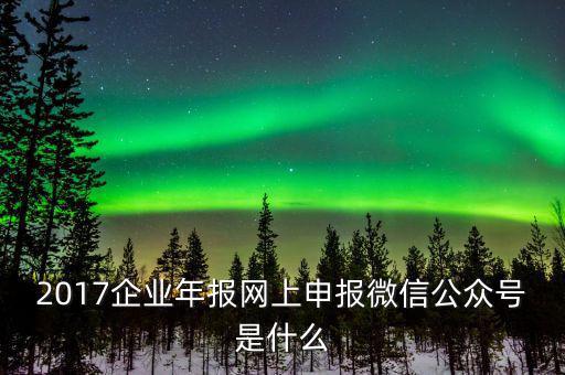 企業(yè)申報客戶端是什么意思，2017企業(yè)年報網(wǎng)上申報微信公眾號是什么