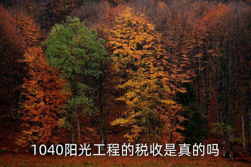 什么是陽光稅務(wù)，1040陽光工程的稅收是真的嗎