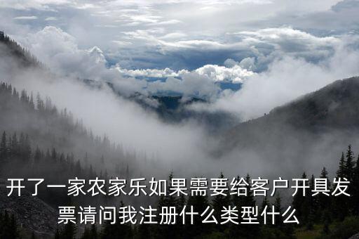 我要是以開普票為主 注冊什么性質(zhì)的公司好，開了一家農(nóng)家樂如果需要給客戶開具發(fā)票請問我注冊什么類型什么