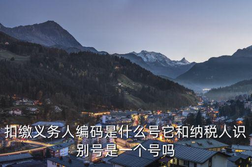 易稅門戶扣繳義務(wù)人編碼是什么，易稅門戶中扣繳義務(wù)人編碼指什么