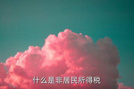 什么是非居民所得稅申報(bào)，什么是非居民所得稅