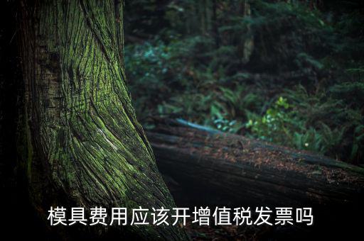模具設計開發(fā)費開什么發(fā)票，模具開發(fā)及制造費一般開什么發(fā)票明細
