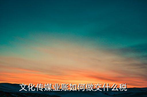 文化傳媒公司交什么稅，開(kāi)傳媒公司旗下藝人要交哪些稅