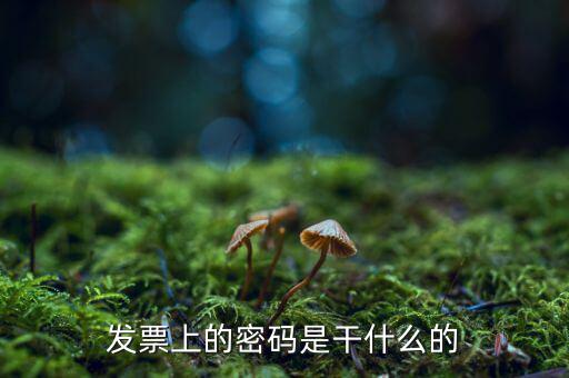 湖南汽車發(fā)票密碼是什么意思，發(fā)票上的密碼是做什么用的啊