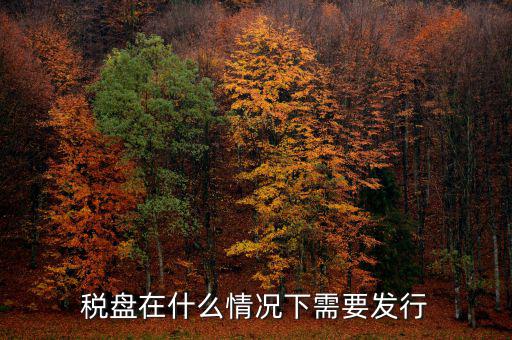 稅控盤變更發(fā)行是什么意思，更換稅控盤需要什么