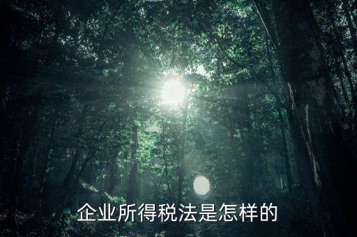 什么是企業(yè)所得稅法，企業(yè)所得稅法是怎樣的