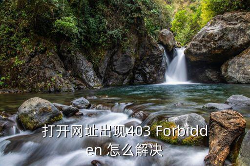 進地稅網出現403是什么意思，打開網頁顯示403如何解決