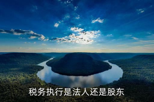 稅收政策執(zhí)行是干什么的，稅務(wù)執(zhí)行是法人還是股東