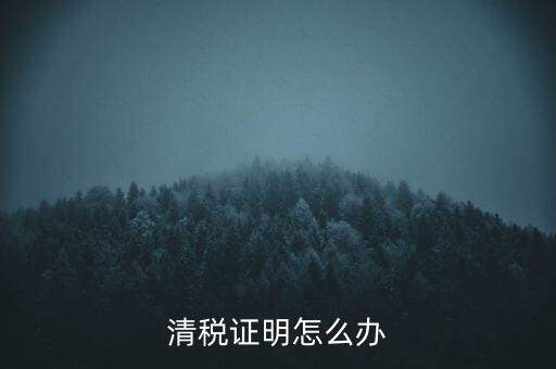 稅務(wù)無(wú)紙化辦公要什么材料，清稅證明怎么辦