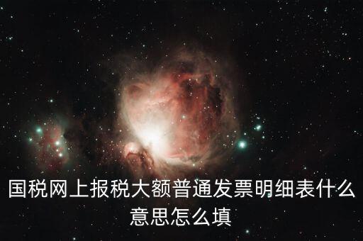 發(fā)票里的明細(xì)是什么意思，國稅網(wǎng)上報稅大額普通發(fā)票明細(xì)表什么意思怎么填