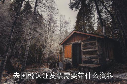 常州國稅認證發(fā)票需要帶什么資料，去國稅認證發(fā)票需要帶什么資料