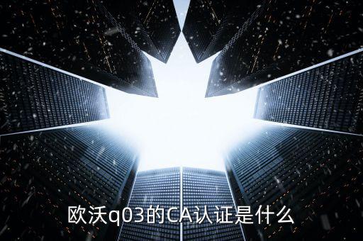 ca認證密碼是什么，歐沃q03的CA認證是什么