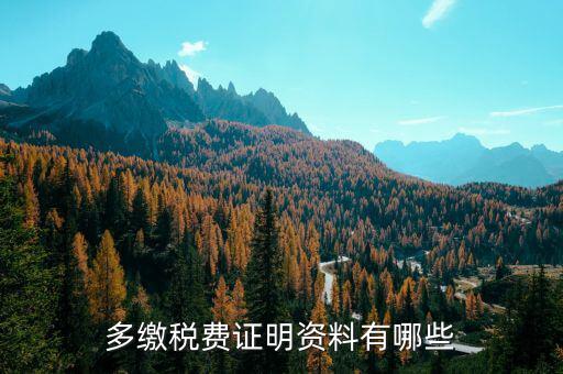 多繳稅費(fèi)證明資料原件指什么，17年第四季度附加稅多報了現(xiàn)在要辦理退稅需要準(zhǔn)備哪些材料百度