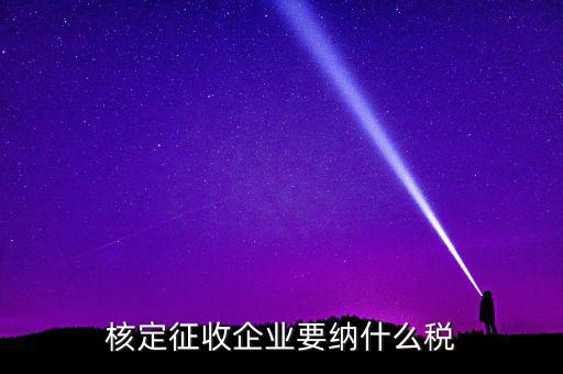 什么稅可以核定征收，核定征收企業(yè)要納什么稅