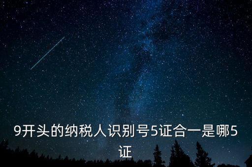 9開頭的納稅人識(shí)別號5證合一是哪5證