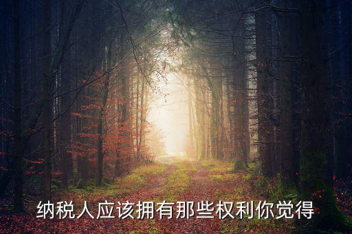 納稅人的權(quán)益有什么，納稅人應(yīng)該擁有那些權(quán)利你覺得