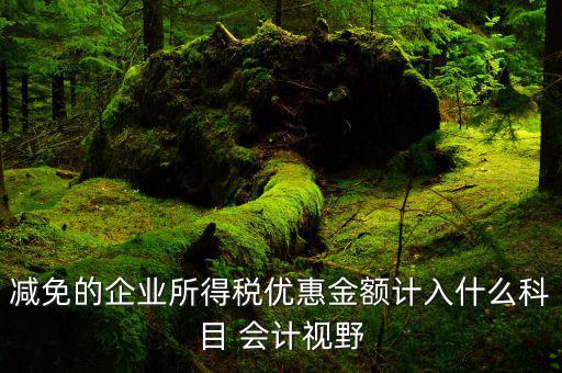 非營利機(jī)構(gòu)的減免稅額做什么科目，減免的企業(yè)所得稅優(yōu)惠金額計入什么科目 會計視野