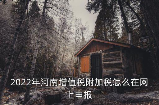 附加稅在什么網站申報，2022年河南增值稅附加稅怎么在網上申報