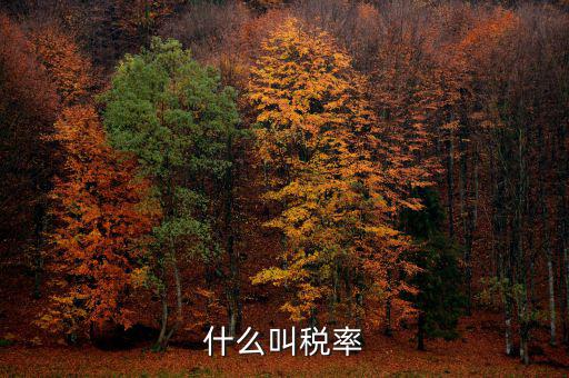 什么叫增值稅稅率，增值稅普通發(fā)票的稅率是什么意思