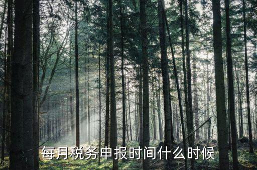 什么時(shí)候教育稅附加申報(bào)，每月稅務(wù)申報(bào)時(shí)間什么時(shí)候