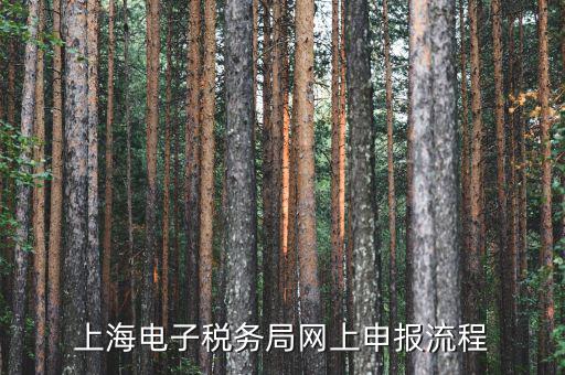 上海稅務(wù)網(wǎng)上直報(bào)是什么，什么是網(wǎng)上報(bào)稅