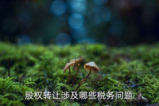股份轉(zhuǎn)讓都涉及什么稅，個(gè)人股權(quán)轉(zhuǎn)讓涉及哪些稅
