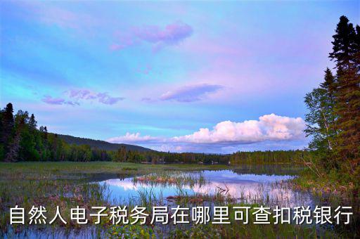 電子稅務局銀行端查詢什么，天津電子稅務局如何查詢銀行賬戶備案信息